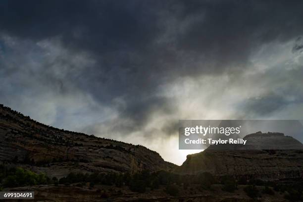rafting the yampa - dinosaur national monument stock pictures, royalty-free photos & images