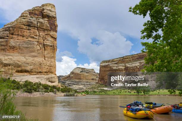 rafting the yampa - dinosaur national monument stock pictures, royalty-free photos & images