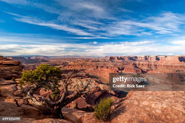 deadhorse point overlook - moab utah stock pictures, royalty-free photos & images