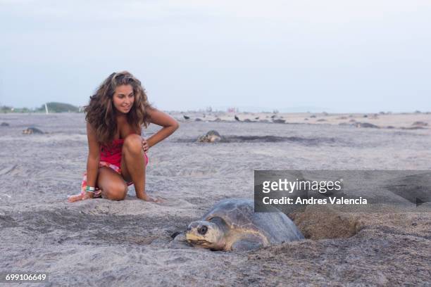 a young blonde woman watches an olive ridley sea turtle lay eggs in oaxaca, mexico. - puerto escondido stock pictures, royalty-free photos & images