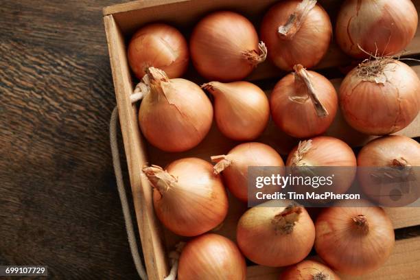 overhead view of fresh onions in wooden crate - halstock stock-fotos und bilder