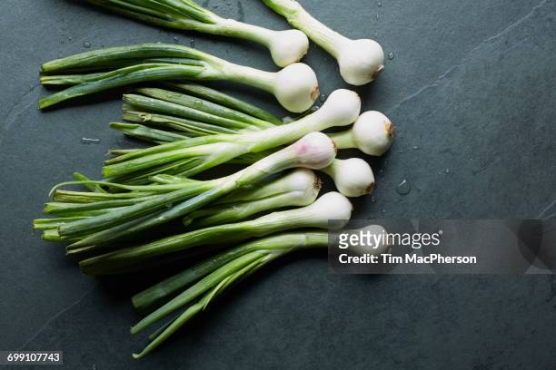 overhead view of fresh whole spring onions on table - halstock stock pictures, royalty-free photos & images