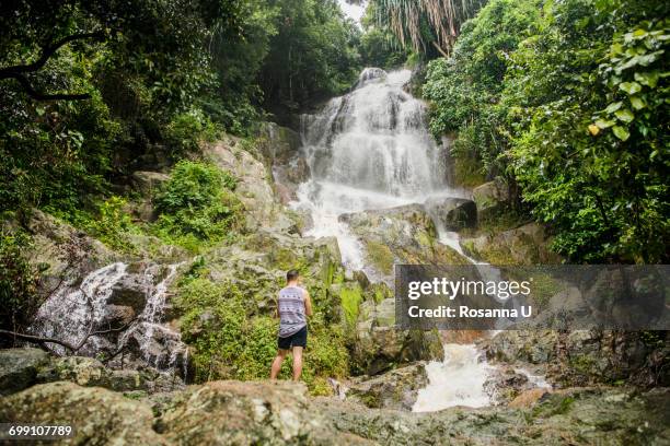 "young man standing on rock looking at na muang waterfall, koh samui, thailand" - province de surat thani photos et images de collection