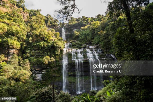 "waterfall, ban nongluang national park, champassak province, paksong, laos" - paksong stock pictures, royalty-free photos & images