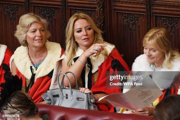 Baroness Mone arrives in the House of Lords before the State Opening Of Parliament at Houses of Parliament on June 21, 2017 in London, England. This...