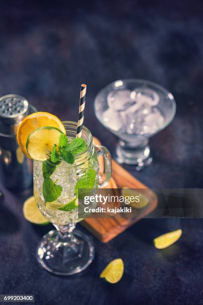 fresh mojito cocktail - caribbean rum stock pictures, royalty-free photos & images