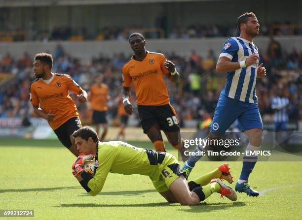 Wolverhampton Wanderers goalkeeper Emiliano Martinez saves a shot from Brighton and Hove Albion's Tomer Hemed