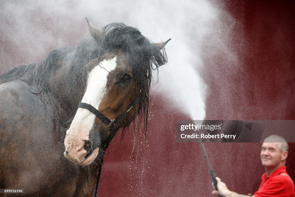 Preview Day At The Royal Highland Show