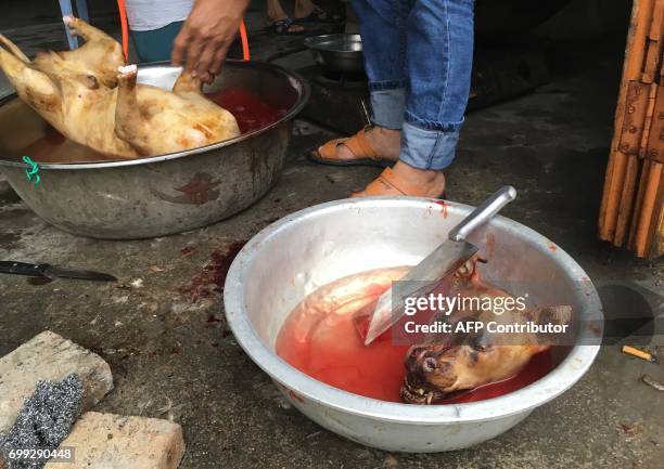 Dog's head is seen in a bowl as it is prepared for consumption behind the Nanqiao market in Yulin in China's southern Guangxi region on June 21,...