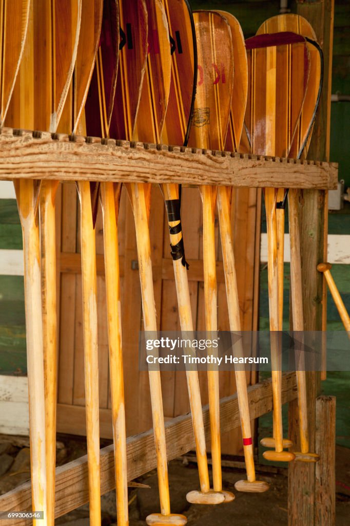 Wooden outrigger canoe paddles in a rack
