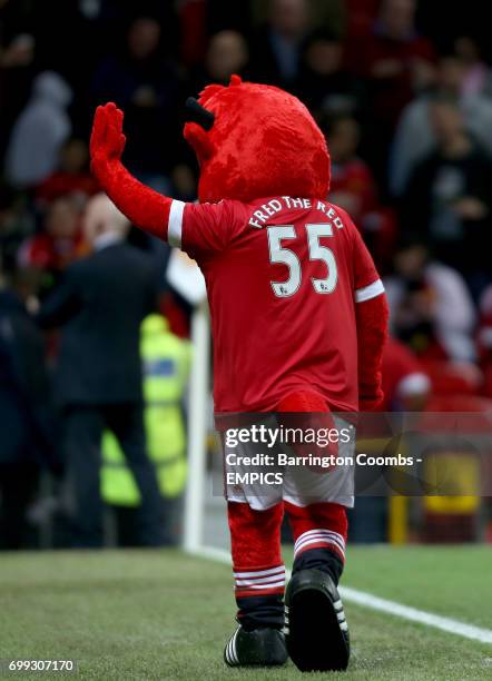 Manchester United mascot Fred the Red