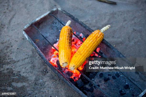 a local vendor sells corn on the beach. - sanur bildbanksfoton och bilder