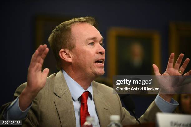 Director Mick Mulvaney testifies during a Financial Services and General Government Subcommittee hearing on the budget for the Office of Management...