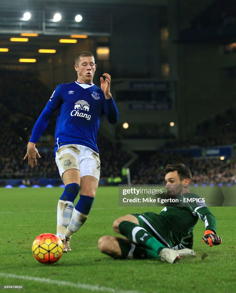 Everton v Tottenham Hotspur - Barclays Premier League - Goodison Park