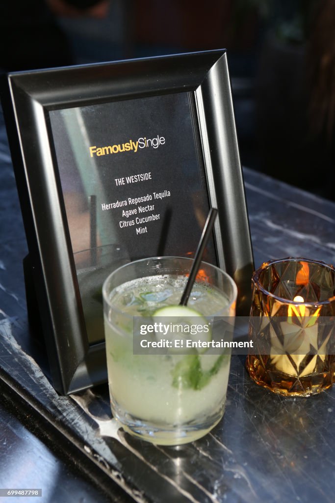 Famously Single - Season 2