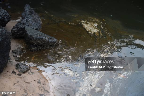 25 Gokana Nigeria Photos & High Res Pictures Getty Images