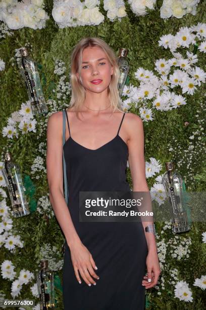 Model Britt Maren attends the Maison St-Germain VIP Opening at Maison St-Germain on June 21, 2017 in New York City.