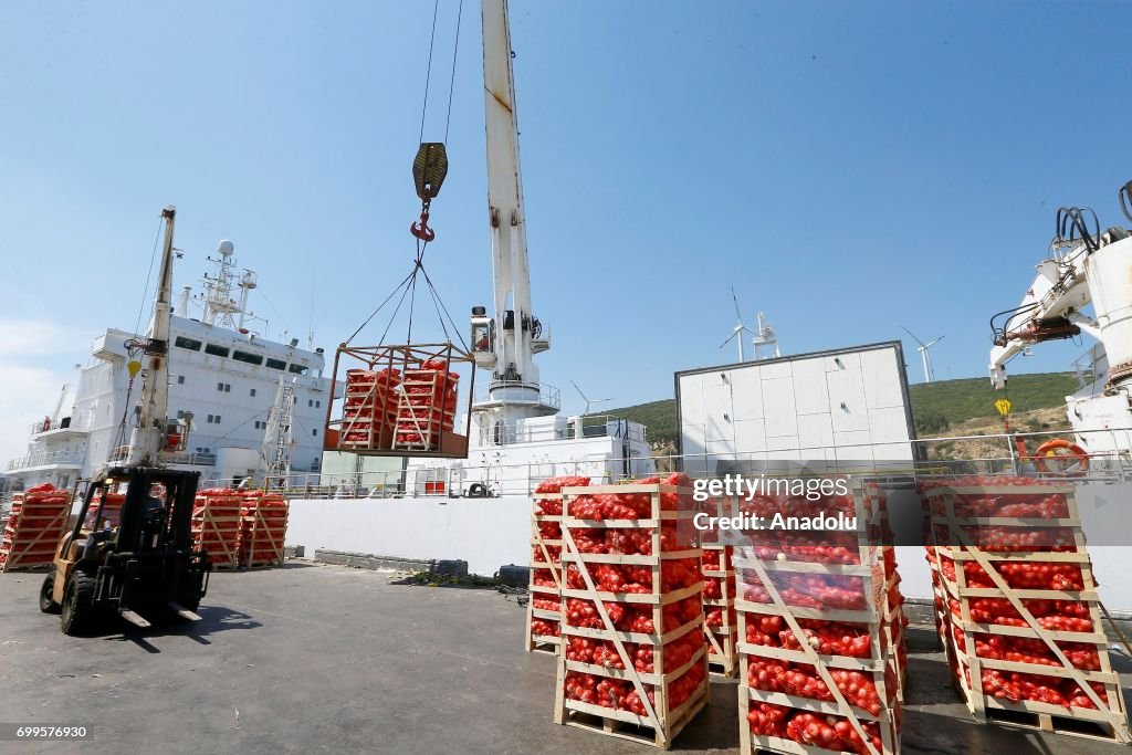 First ship carrying food departs Turkey for Qatar
