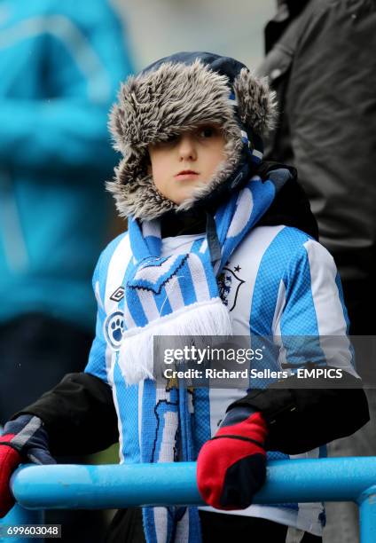 Huddersfield Town fan in the stands