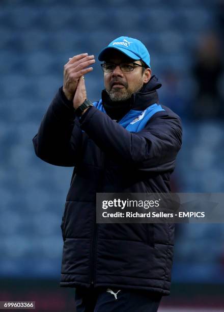 Huddersfield Town manager David Wagner