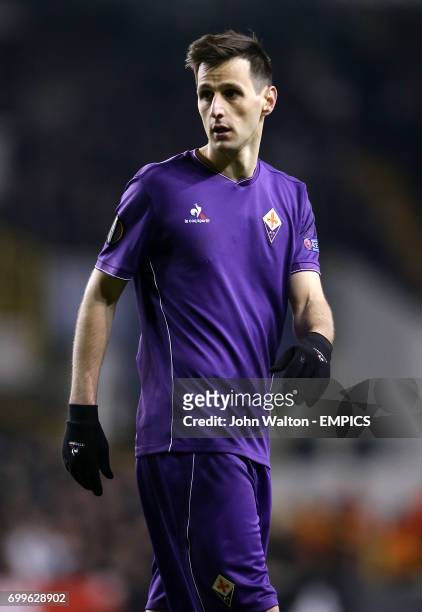 Fiorentina's Nikola Kalinic