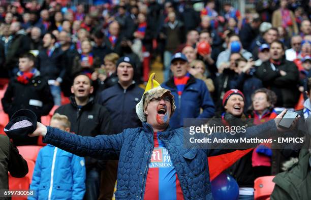 Crystal Palace fan shows support for his team before kick-off