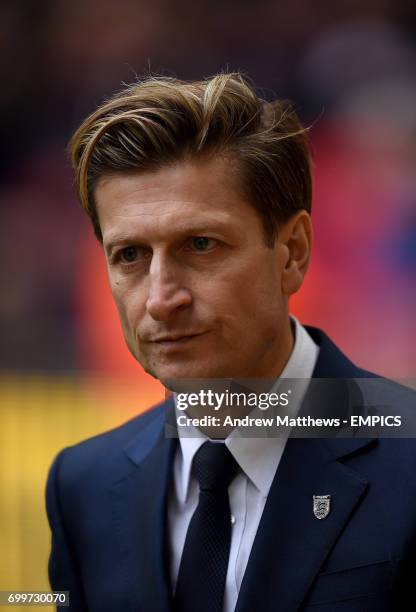 Crystal Palace chairman Steve Parish before the match