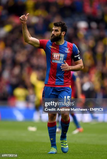 Crystal Palace's Mile Jedinak celebrates after the final whistle