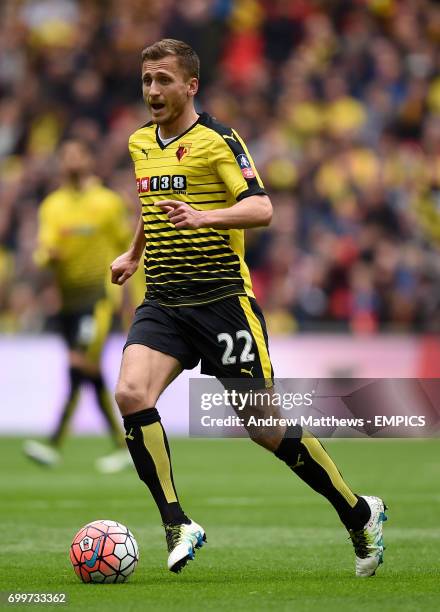 Almen Abdi, Watford