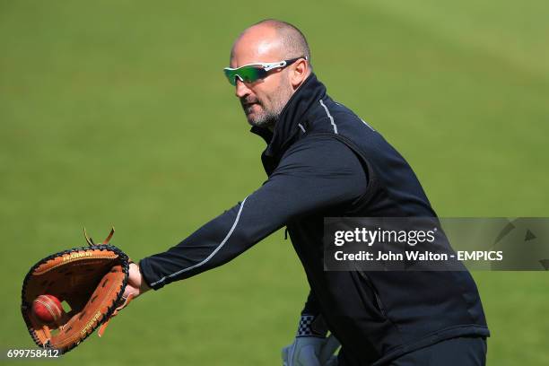 Surrey Head Coach Michael di Venuto