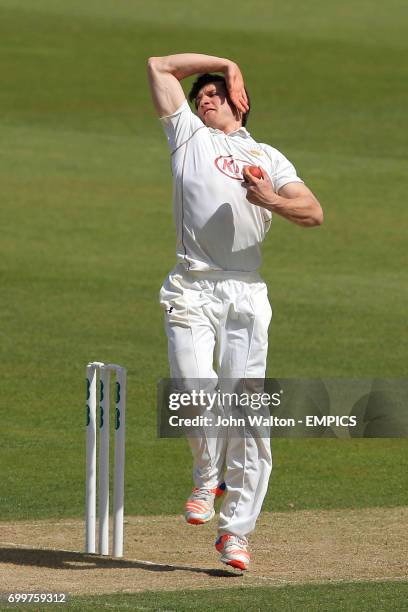 Zafar Ansari, Surrey