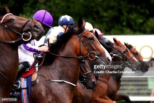 Horses run in The Ribblesdale Stakes on day 3 'Ladies Day' of Royal Ascot at Ascot Racecourse on June 22, 2017 in Ascot, England.