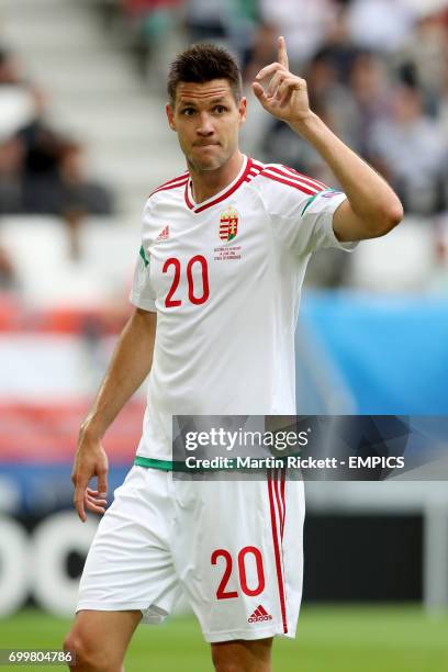 Hungary's Richard Guzmics