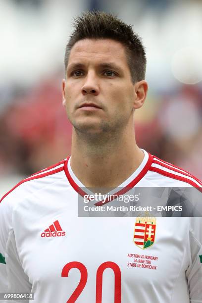 Hungary's Richard Guzmics