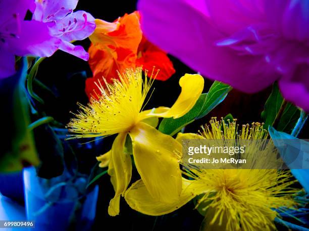 flower mix - flower multicolor stock-fotos und bilder