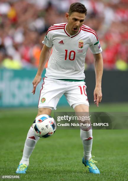 Hungary's Zoltan Gera