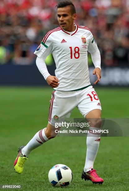 Hungary's Zoltan Stieber