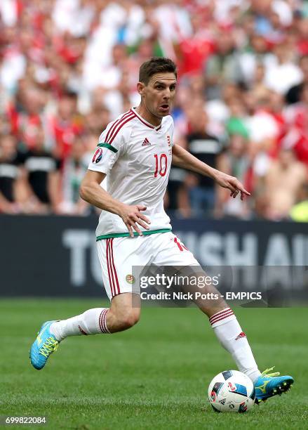 Hungary's Zoltan Gera