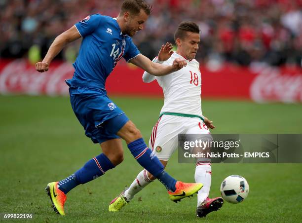 Hungary's Zoltan Stieber and Iceland's Kari Arnason