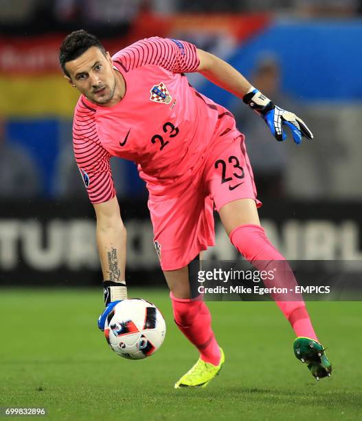 Croatia goalkeeper Danijel Subasic