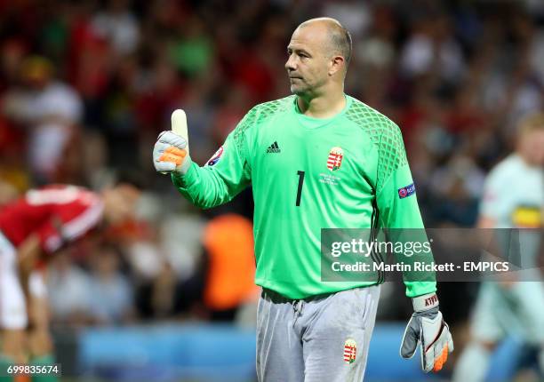 Hungary goalkeeper Gabor Kiraly gives the thumbs up