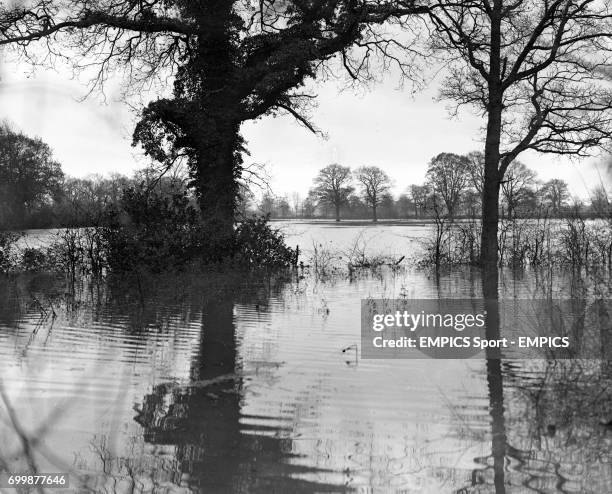 22 Gatwick Racecourse Stock Photos, High-Res Pictures, and Images ...