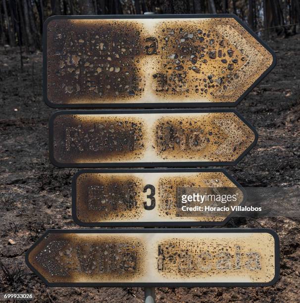 Burned traffic signs and trees across the street from the small village cemetery, where forest fire victims are being buried, on June 22, 2017 in...