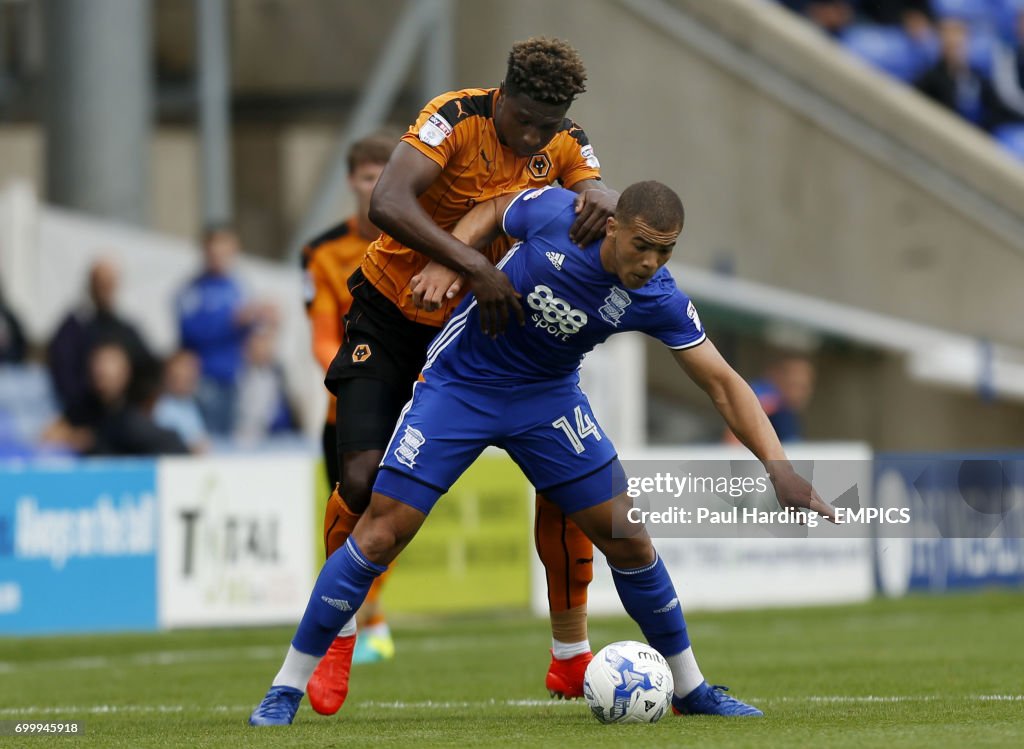 Birmingham City v Wolverhampton Wanderers - Sky Bet Championship - St Andrews