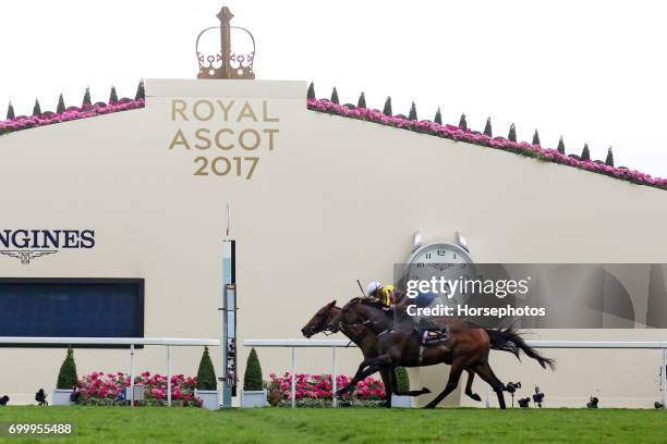 Big Orange with James Doyle up wins the Ascot Gold Cup at Ascot Racecourse on June 22, 2017 in Ascot, England.