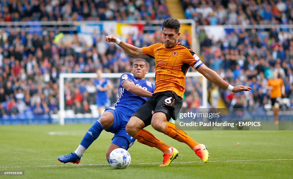 Birmingham City v Wolverhampton Wanderers - Sky Bet Championship - St Andrews