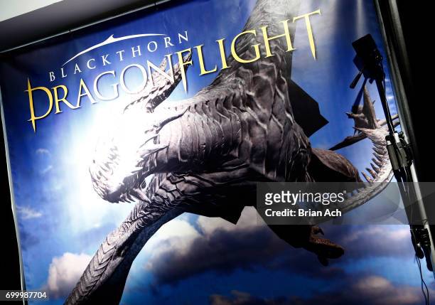Blackthorn Dragonflight display during day one of The Art of VR at Sotheby's on June 22, 2017 in New York City.
