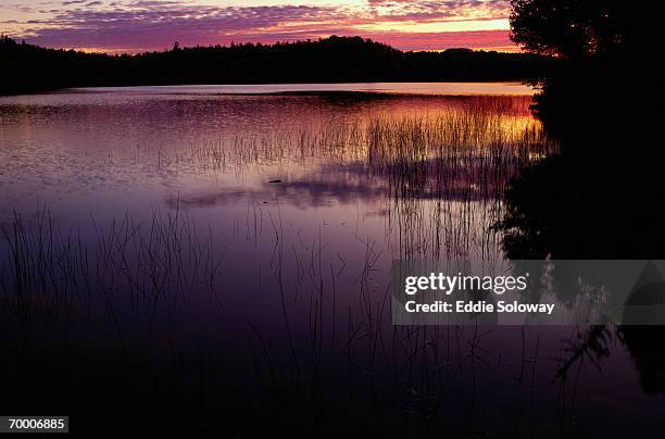usa, michigan, isle royale national park, lake richie, sunset - isle royale national park - fotografias e filmes do acervo