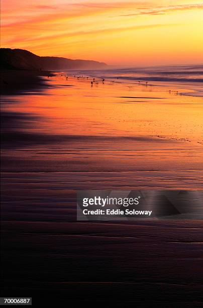 usa, california, morro bay state park, coastline, sunset - sunset bay state park stockfoto's en -beelden
