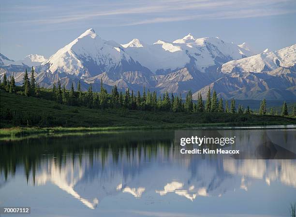 usa, alaska, mount brooks, wonder lake and reflections - wonder lake stock pictures, royalty-free photos & images